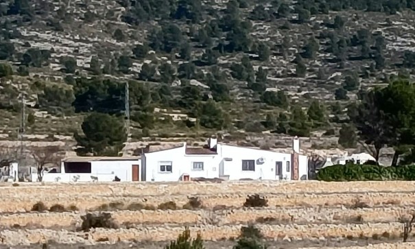 Equestrian property - Sale - Monóvar - Monóvar