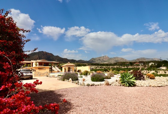 Finca / Casa de campo - Venta - Albatera - Albatera