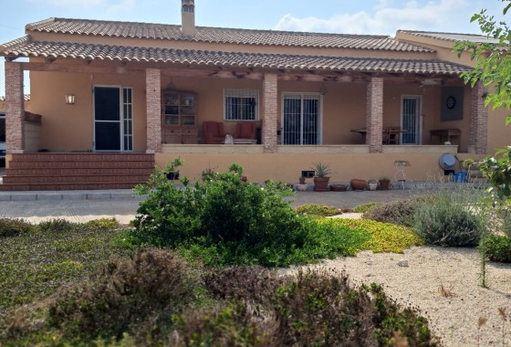 Finca / Casa de campo - Venta - Catral -
                Catral