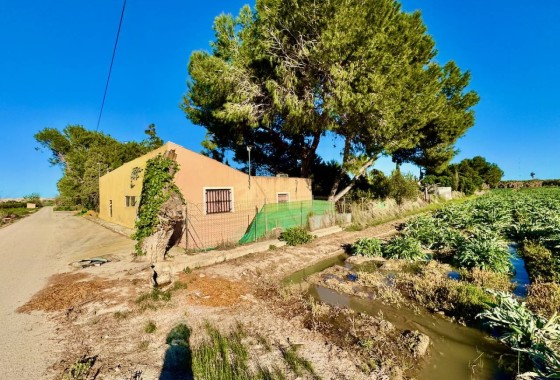 Finca / Casa de campo - Venta - Guardamar del Segura - Guardamar del Segura