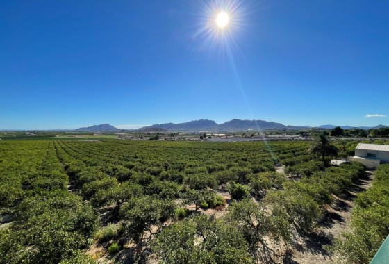 Finca / Casa de campo - Venta - Murcia -
                Murcia