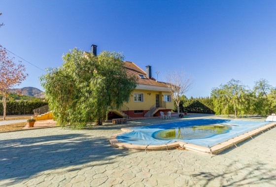 Finca / Casa de campo - Venta - Yecla -
                Yecla