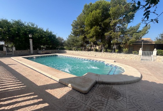 Finca - Country Property - Resale - Crevillente -
                Crevillente