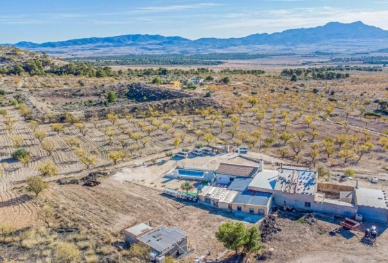 Finca - Country Property - Resale - Jumilla -
                Jumilla