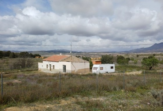 Finca - Country Property - Resale - La Zarza - La Zarza