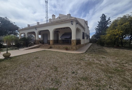Finca - Country Property - Resale - Murcia -
                Gea y Truyols