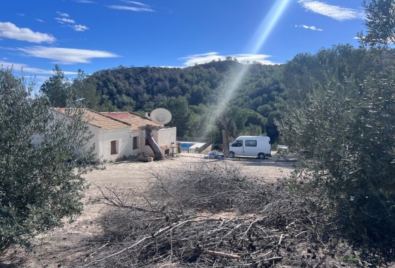 Finca - Country Property - Resale - Torremendo -
                Torremendo
