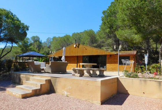Finca - Country Property - Resale - Torremendo -
                Torremendo