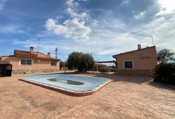 Finca Country Property - Sale - Alicante - Alicante