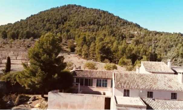 Finca Country Property - Sale - Bullas - Bullas