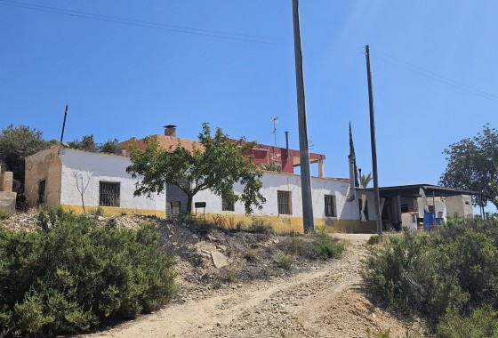 Finca Country Property - Sale - Crevillente - Crevillente