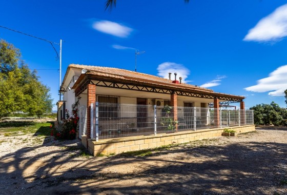 Finca Country Property - Sale - Fortuna - Fortuna