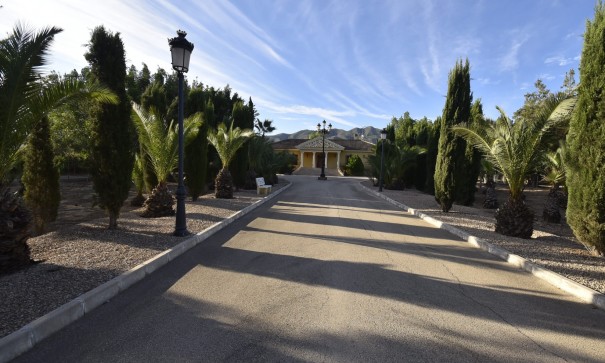 Finca Country Property - Sale - La Matanza - La Matanza