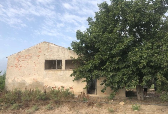 Finca / Dom wiejski - Sprzedaż - Callosa de Segura - Callosa de Segura