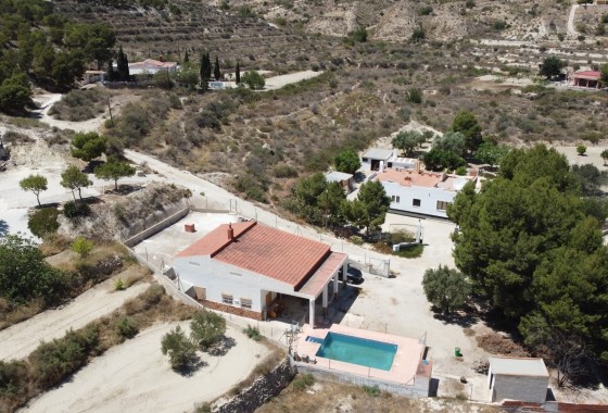 Finca / Dom wiejski - Sprzedaż - Crevillente -
                Crevillente