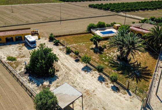 Finca / Dom wiejski - Sprzedaż - Orihuela - Orihuela