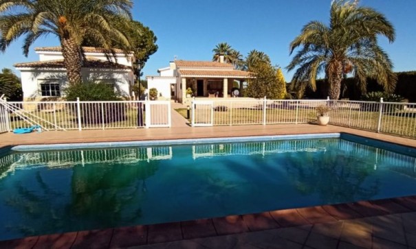 Finca landejendom - Videresalg - Elche - Elche