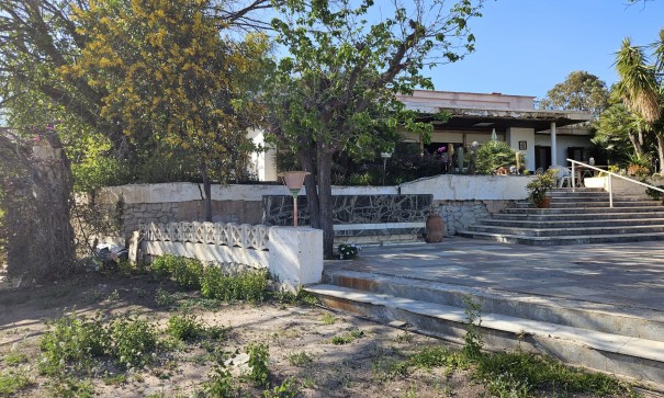 Finca landejendom - Videresalg - Novelda - Novelda