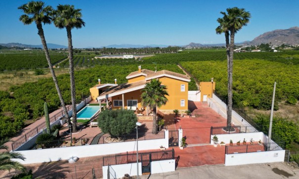 Finca landejendom - Videresalg - Orihuela - Orihuela