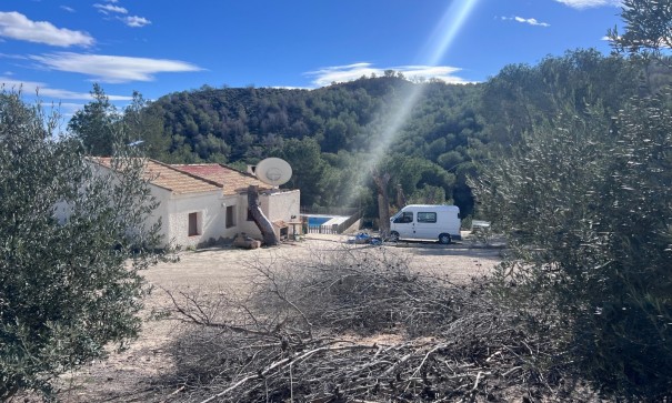 Finca landejendom - Videresalg - Torremendo - Torremendo