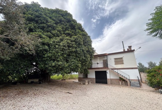 Finca Landelijk pand - Herverkoop - Crevillente - Crevillente