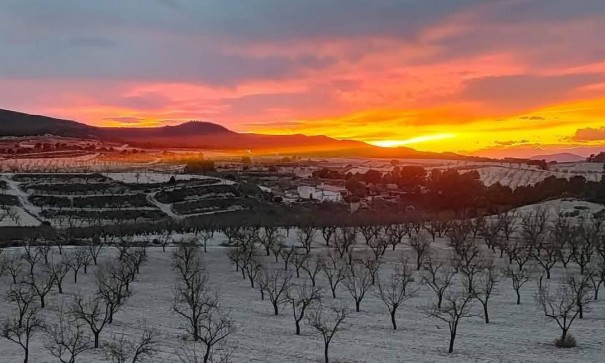 Finca Landelijk pand - Herverkoop - La Zarza - La Zarza