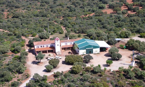 Finca Landelijk pand - Herverkoop - Ossa de Montiel - Lagunas de ruidera