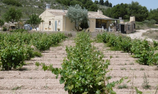 Finca Landelijk pand - Herverkoop - Yecla - Yecla