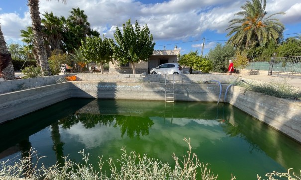 Finca Landgut - Resale - Crevillente - Crevillente