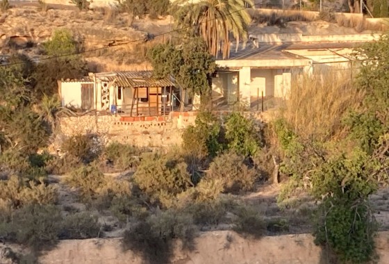 Finca Landgut - Resale - Crevillente - Crevillente