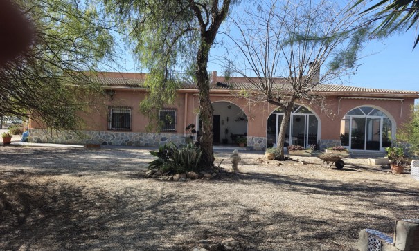 Finca Landgut - Resale - Elche - Elche