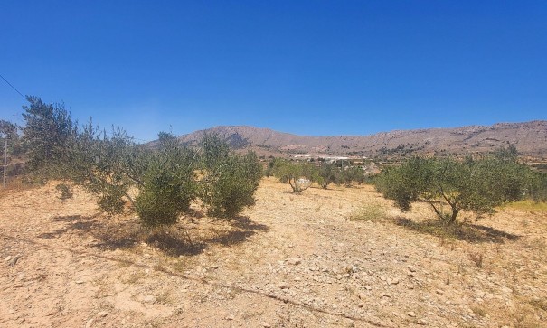 Finca Landgut - Resale - La Romana - La Romana