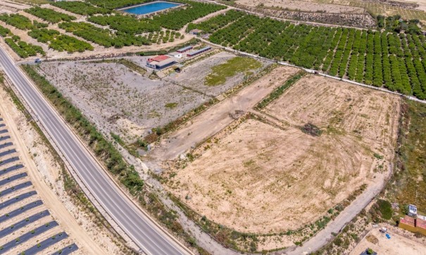 Finca Landgut - Resale - Los Montesinos - LOS MONTESINOS