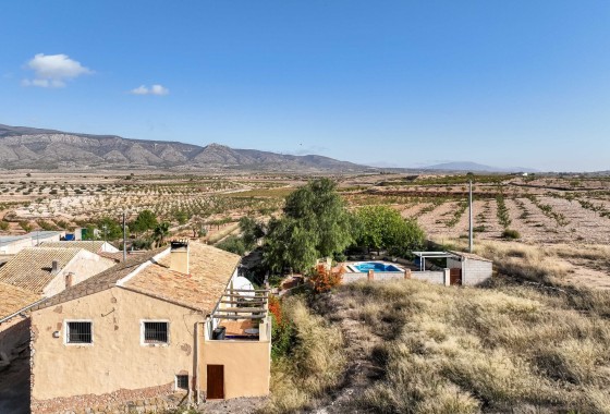 Finca / Landhaus - Wiederverkauf - Pinoso - Pinoso