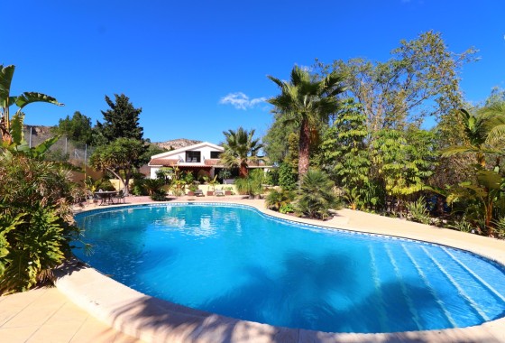 Finca / Landhuis - Herverkoop - Aspe - Aspe - Country
