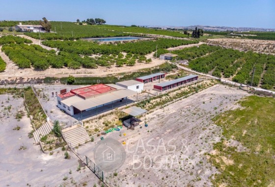 Finca / Landhuis - Herverkoop - Los Montesinos - LOS MONTESINOS