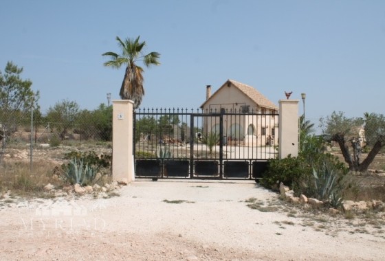 Finca / Landhuis - Herverkoop - Pinoso - Pinoso Alicante