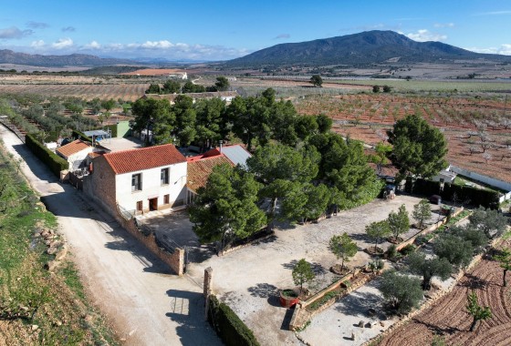 Finca / Landhuis - Herverkoop - Pinoso -
                Pinoso