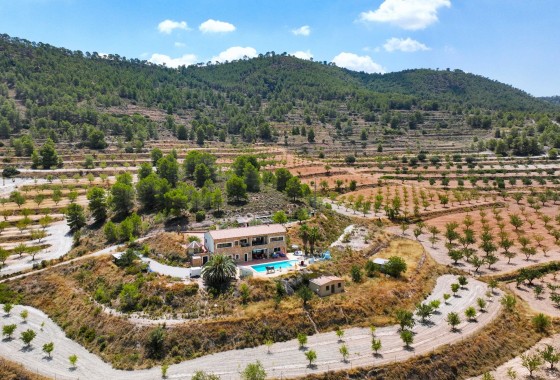 Finca / Landhuis - Herverkoop - Pinoso - Pinoso