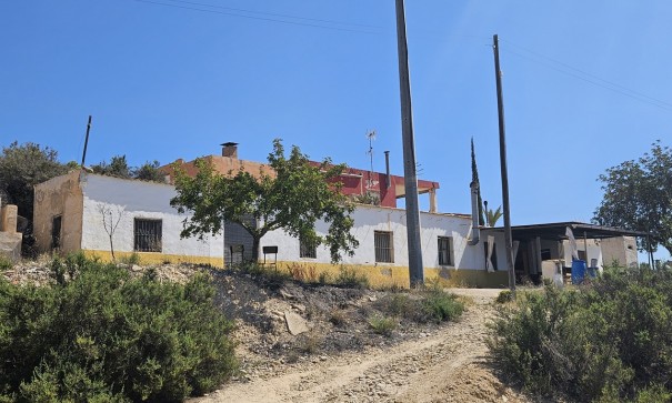 Finca lantlig egendom - Återförsäljning - Crevillente - Crevillente