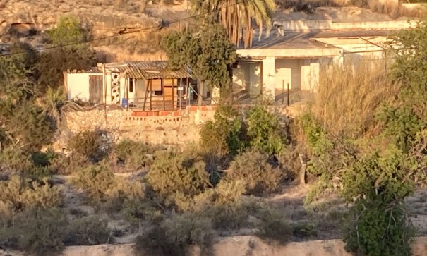 Finca lantlig egendom - Återförsäljning - Crevillente - Crevillente