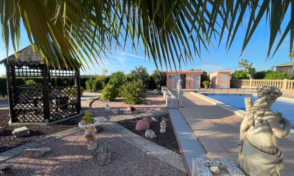 Finca lantlig egendom - Återförsäljning - Crevillente - Crevillente