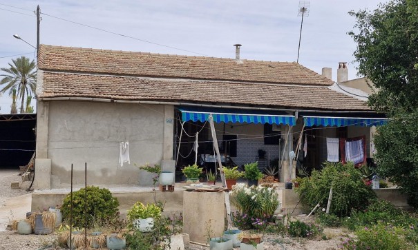 Finca lantlig egendom - Återförsäljning - Elche - Elche