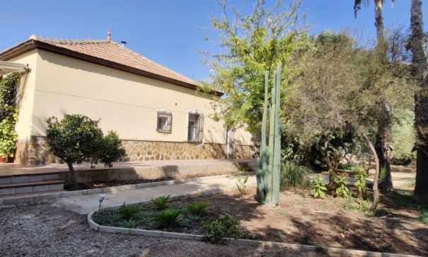 Finca lantlig egendom - Återförsäljning - Elche - Elche