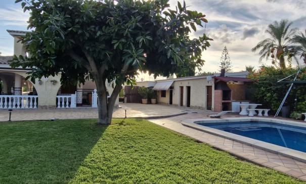 Finca lantlig egendom - Återförsäljning - Elche - Elche