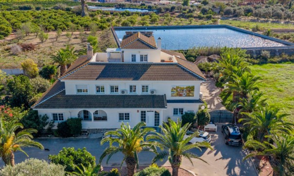 Finca lantlig egendom - Återförsäljning - Los Montesinos - Los Montesinos