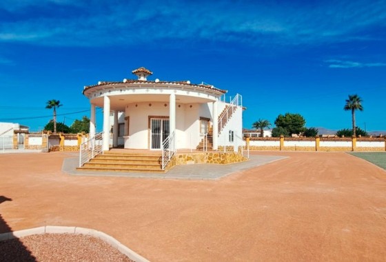 Finca nieruchomość wiejska - Sprzedaż -
        Catral - C4S-83225