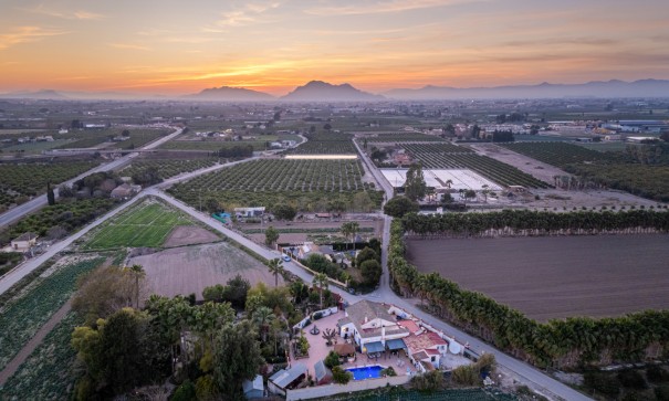 Finca nieruchomość wiejska - Sprzedaż - Daya Nueva - Daya Nueva