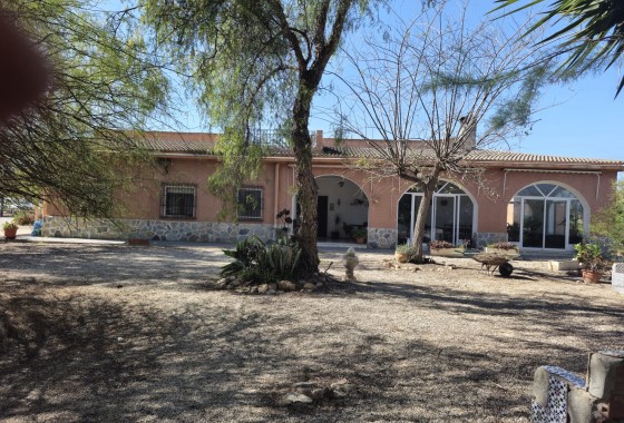 Finca nieruchomość wiejska - Sprzedaż - Elche - Elche
