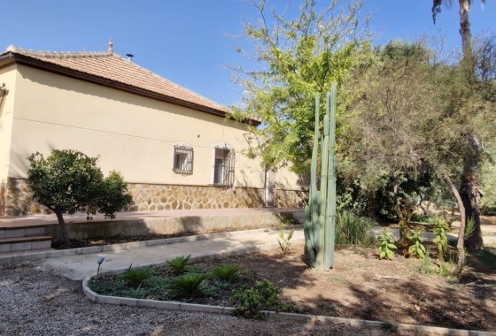 Finca nieruchomość wiejska - Sprzedaż - Elche - Elche